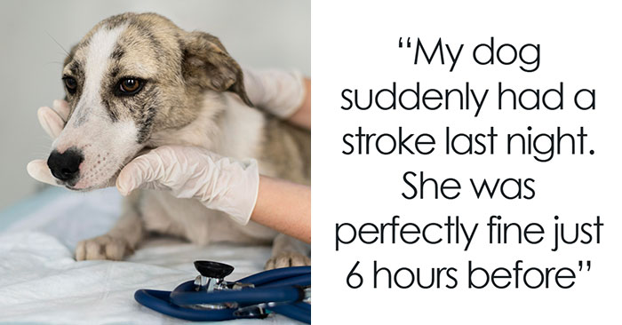 The Wildest Thanksgiving Fails That Will Make You Go “Wait, That Actually Happened?!”