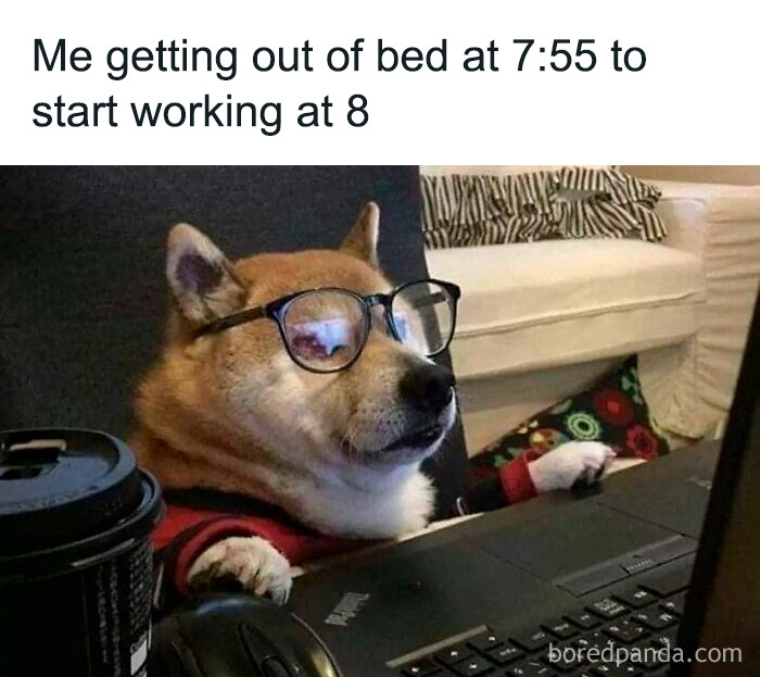 Wait, These Dog Memes Are Actually This Hilarious?!