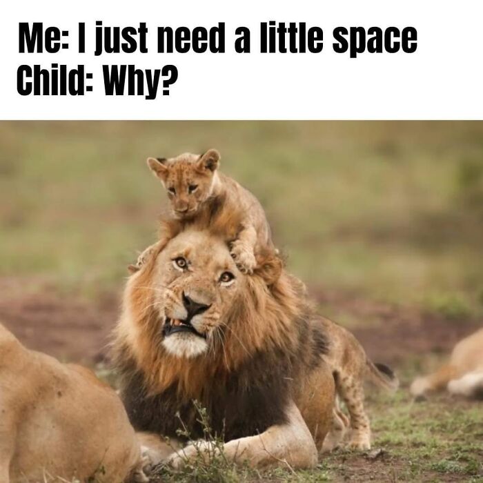 Wait, They Actually Ranked These Parenting Memes?