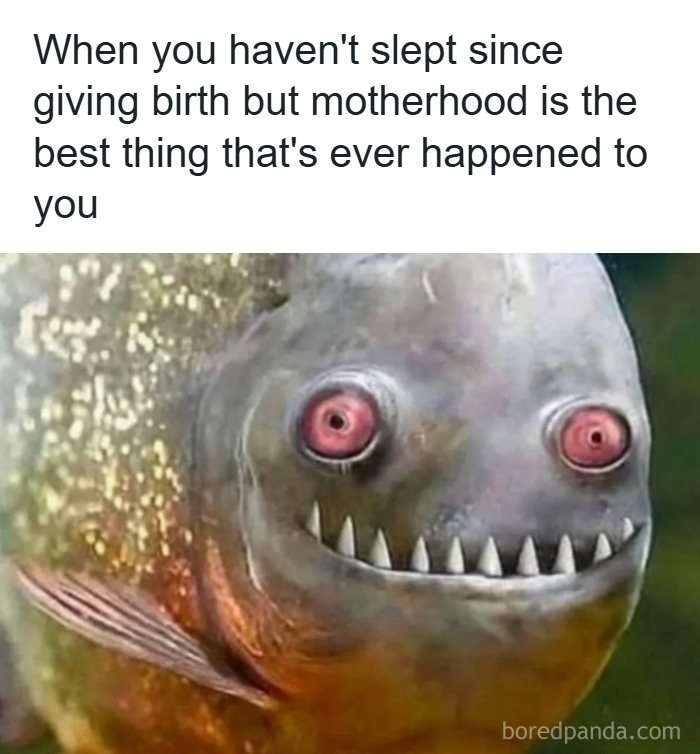 Wait, They Actually Ranked These Parenting Memes?