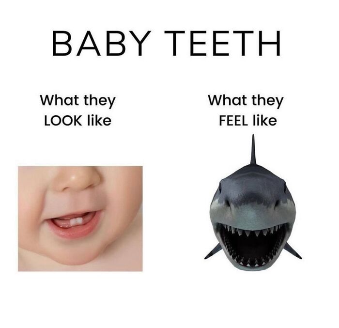 Wait, They Actually Ranked These Parenting Memes?