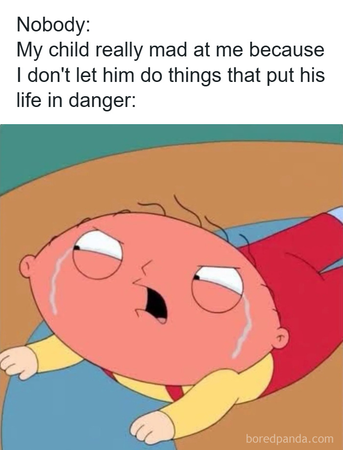 Wait, They Actually Ranked These Parenting Memes?