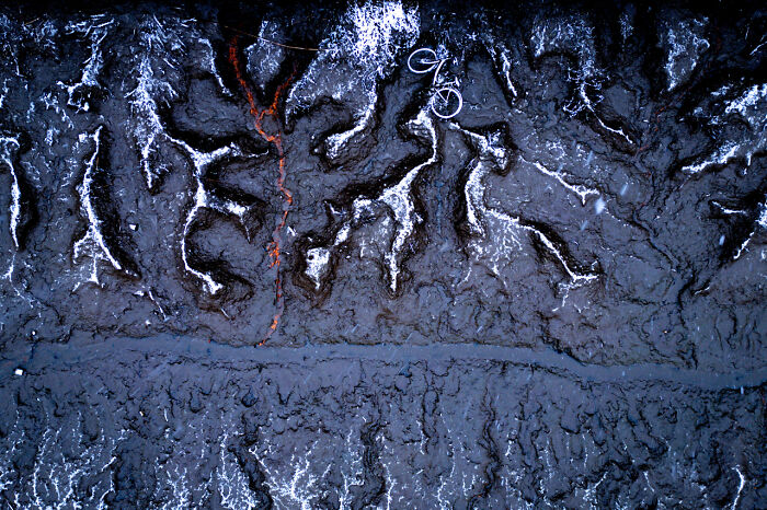 These 50 Nature Photos Are So Good They’ll Make You Say Whoa!