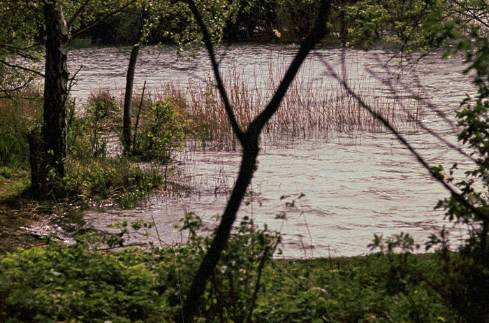 Wait, They Actually Shared These Wild Ways People Checked Out?