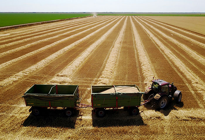 Wait, They Actually Shared These Wild Ways People Checked Out?