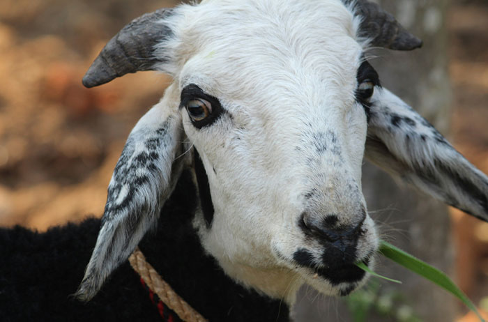 Wait, They Actually Shared These Wild Ways People Checked Out?