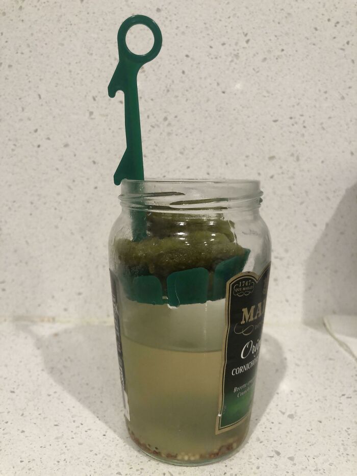 Jar of Baby Pickles with Clever Lift to Grab Every Last One