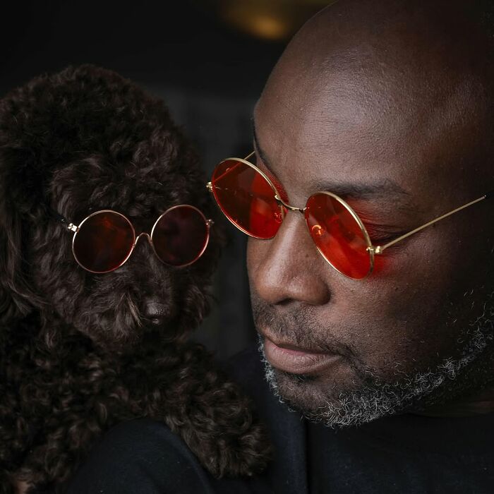 Wait, Pets and Their Humans Look the Same?! 21 Pics That Will Blow Your Mind