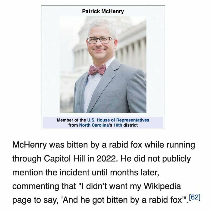 The Weirdest (and Funniest) Wikipedia Stuff You'll Wish You Knew Sooner