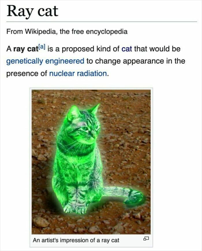 The Weirdest (and Funniest) Wikipedia Stuff You'll Wish You Knew Sooner