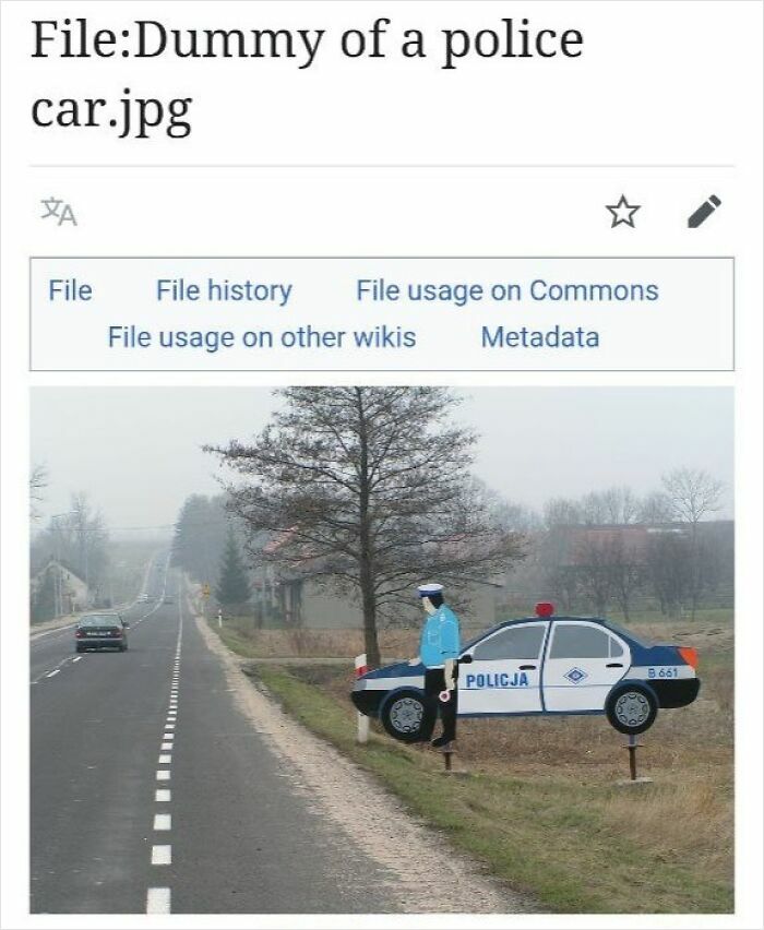 The Weirdest (and Funniest) Wikipedia Stuff You'll Wish You Knew Sooner