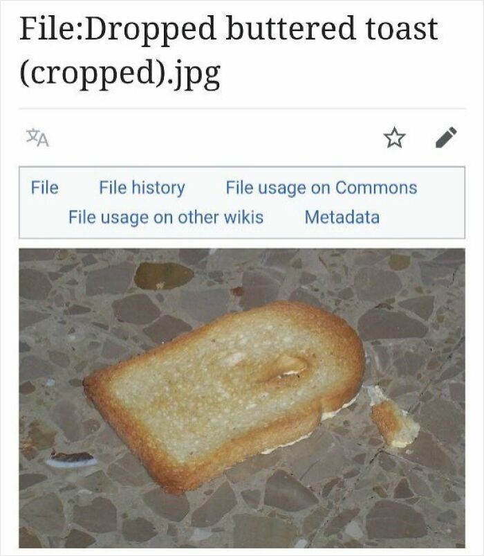 The Weirdest (and Funniest) Wikipedia Stuff You'll Wish You Knew Sooner