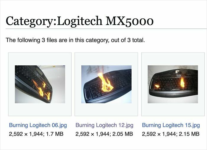 The Weirdest (and Funniest) Wikipedia Stuff You'll Wish You Knew Sooner