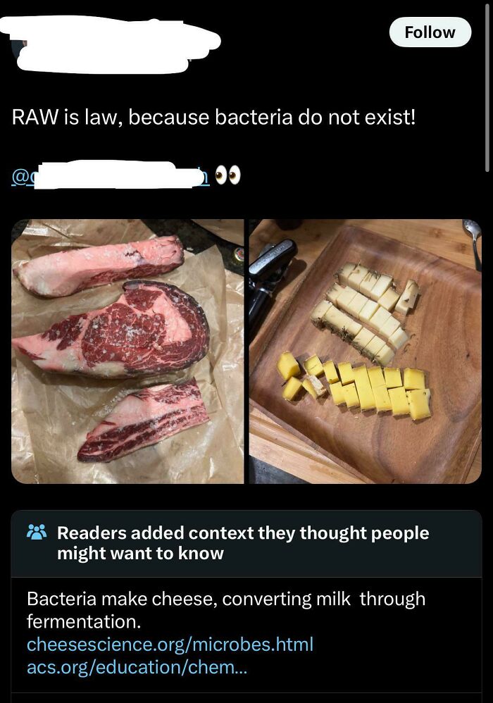 Bacteria Don’t Exist? Someone Needs A Science Class