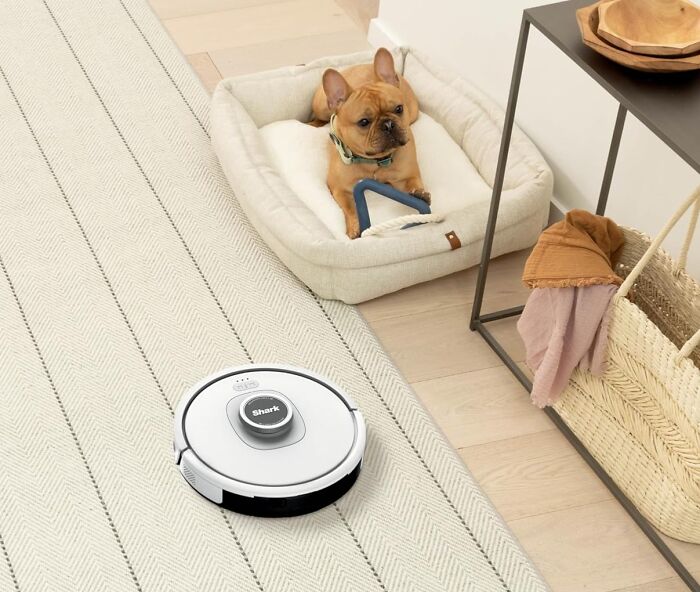 Meet Your New Favorite Roommate: This Voice-Controlled Robot Vacuum