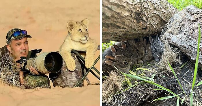 Get Ready To Smile: 50 Happy Pics That Totally Fix Your Day