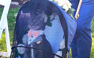 Get Ready To Smile: 50 Happy Pics That Totally Fix Your Day