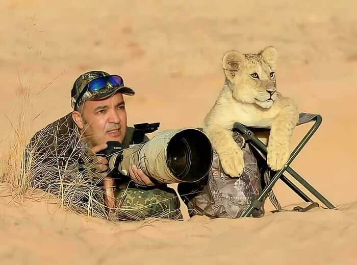 Photographer’s Lion Cub Guide is Basically the Ultimate Assistant