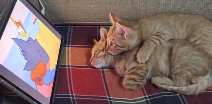 Learning Life Lessons From the Master