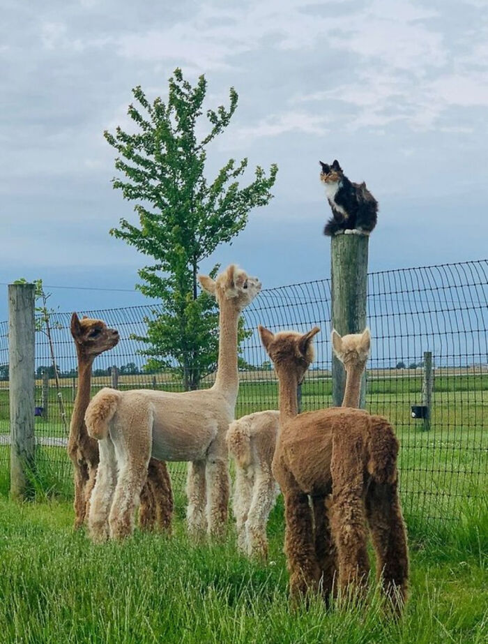 I See No God Up Here... Just Me Being Fabulous