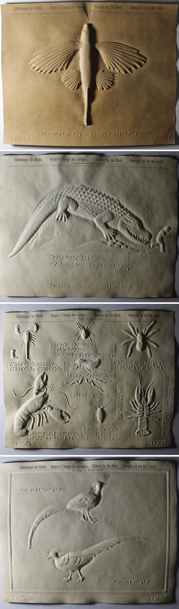 Touchy-Feely Pictures For The Blind (From 1902!)