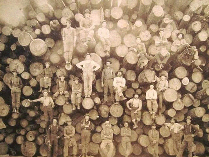 Group Portrait Of Tough Lumberjacks