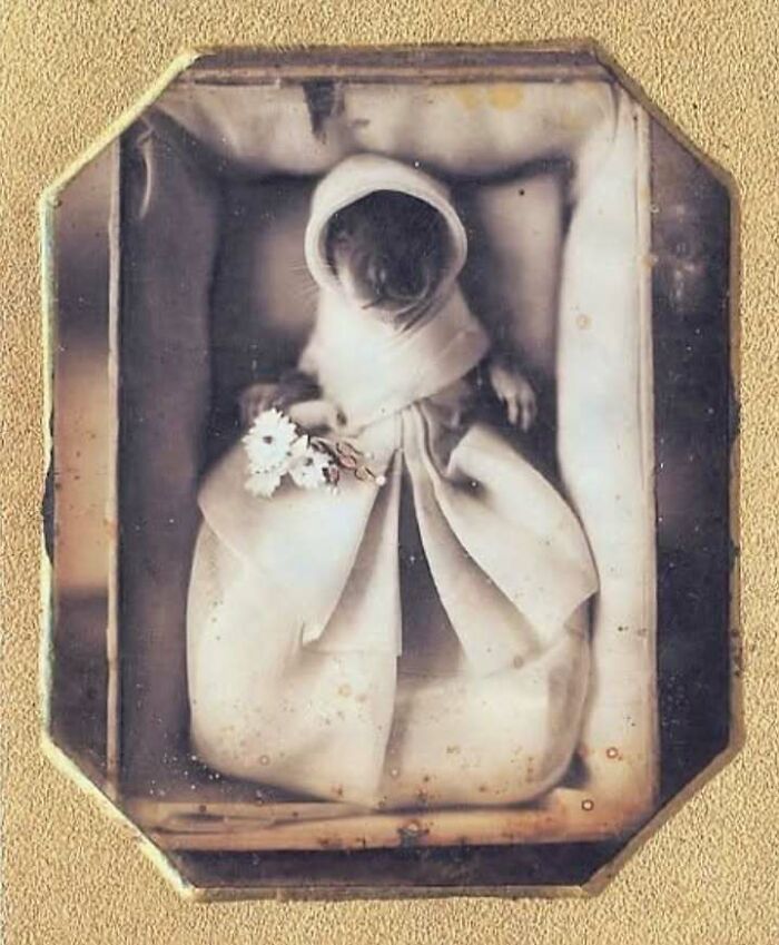 Old-Timey Memorial Photo Of A Pet Squirrel (Yes, Really)