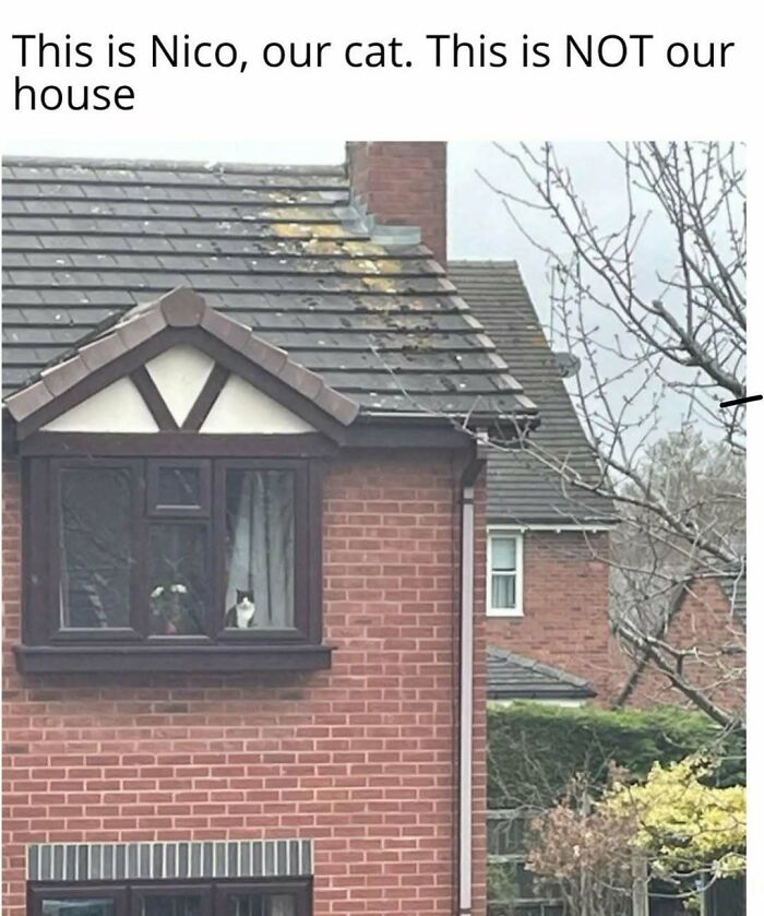 These 50 Hilarious Memes Will Totally Make You Forget Your To-Do List