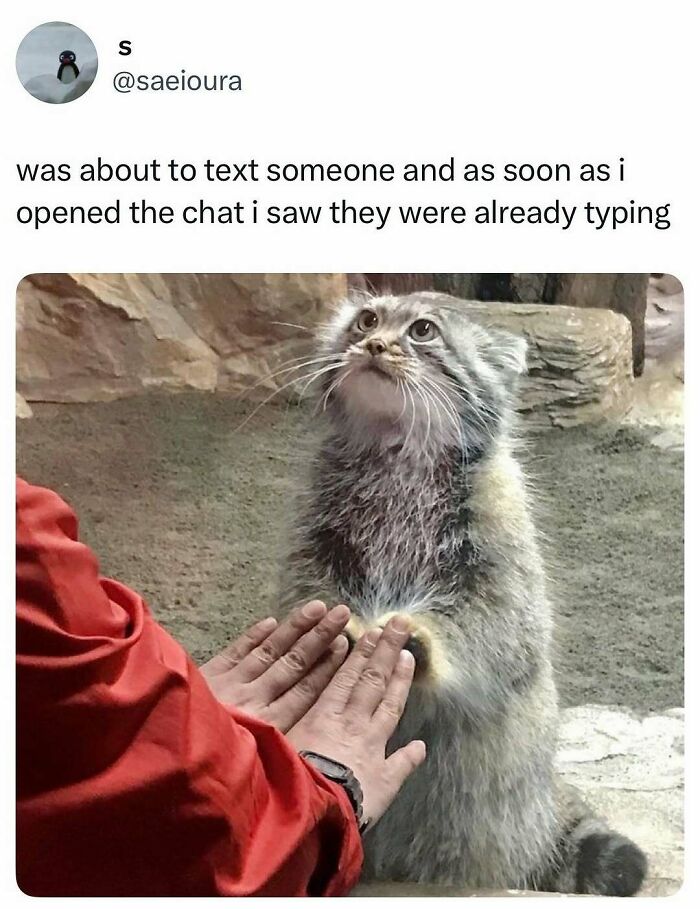 These 50 Hilarious Memes Will Totally Make You Forget Your To-Do List