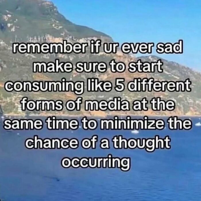 These 50 Hilarious Memes Will Totally Make You Forget Your To-Do List