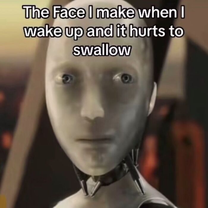 These 50 Hilarious Memes Will Totally Make You Forget Your To-Do List