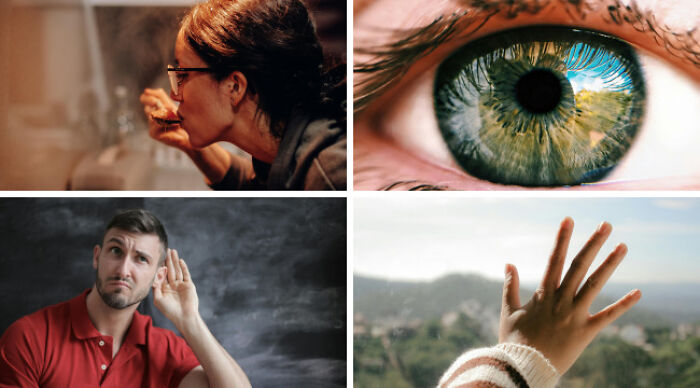 Keep One Sense, Wave Goodbye to the Rest: