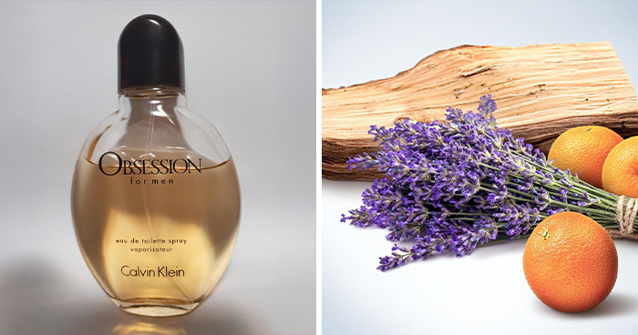 16 Beauty Deals That’ll Make Your Face (and Wallet) So Happy This Black Friday