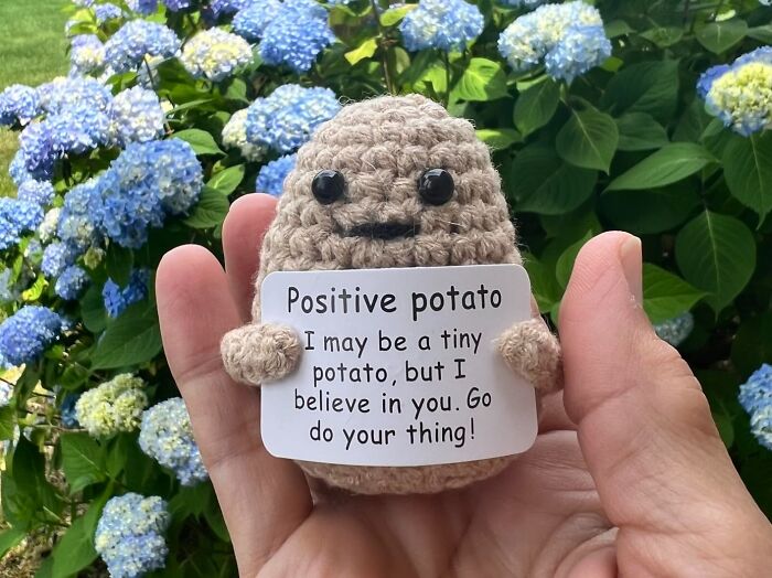Give Your Friend A Boost Of Positivity With The Charming Positive Potato