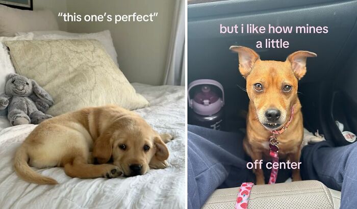 The 40 Most Delightfully Imperfect Pics You Didn't Know You Needed