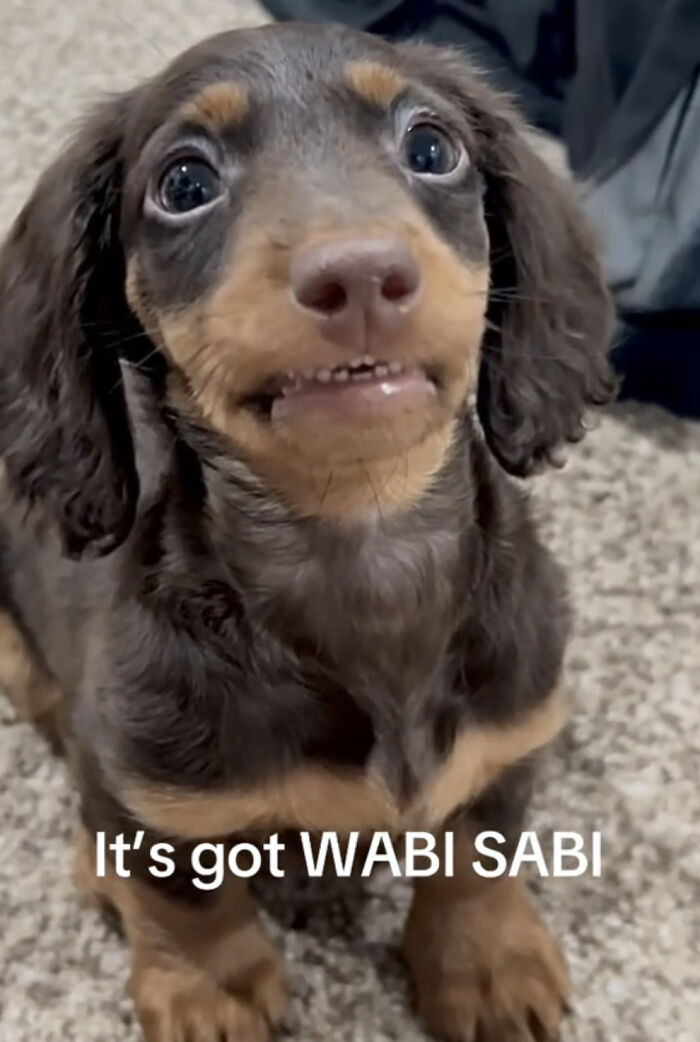 The 40 Most Delightfully Imperfect Pics You Didn't Know You Needed