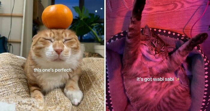 The 40 Most Delightfully Imperfect Pics You Didn't Know You Needed