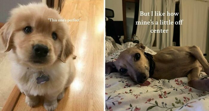 The 40 Most Delightfully Imperfect Pics You Didn't Know You Needed