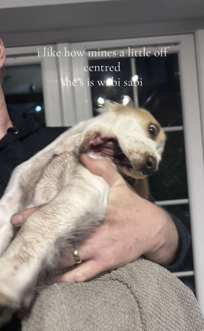 The 40 Most Delightfully Imperfect Pics You Didn't Know You Needed