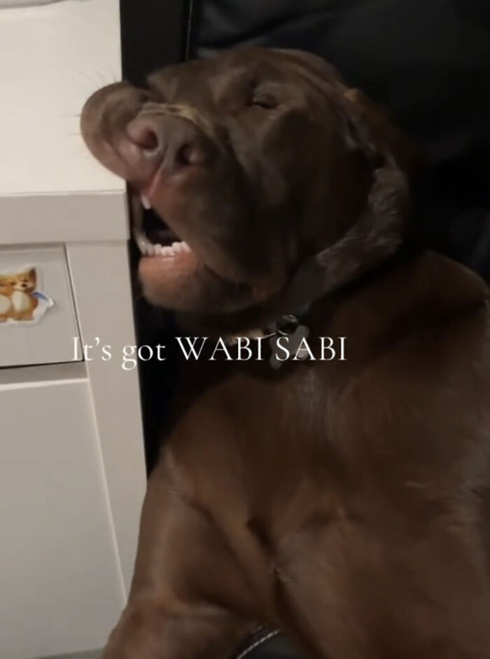 The 40 Most Delightfully Imperfect Pics You Didn't Know You Needed