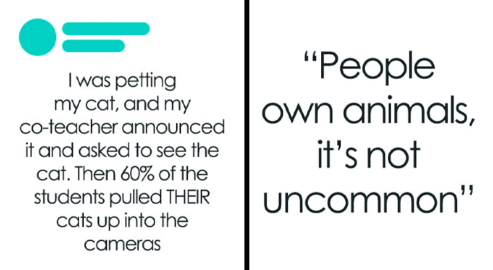 Wait, They Actually Called Out These Stories? Spoiler: They’re Totally Real!