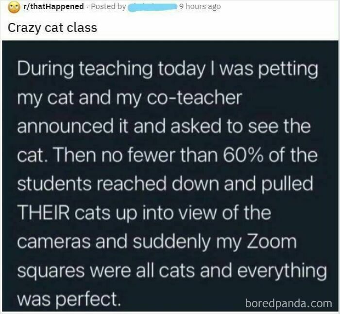 People Have Pets? Mind Blown.