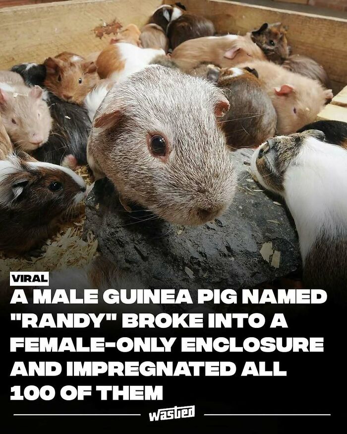 60 Wild Facts That'll Totally Crash Into Your Brain