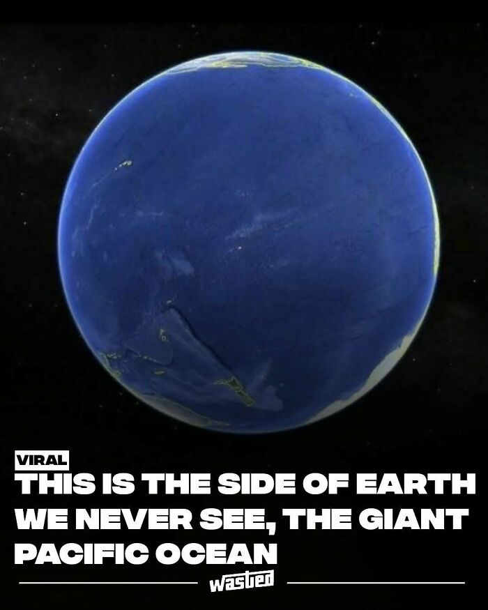 60 Wild Facts That'll Totally Crash Into Your Brain