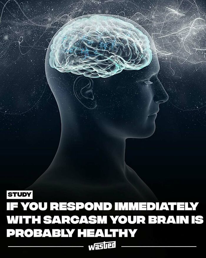 60 Wild Facts That'll Totally Crash Into Your Brain