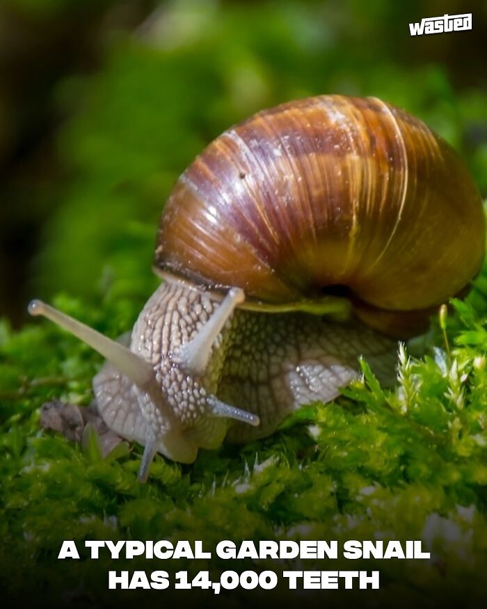 60 Wild Facts That'll Totally Crash Into Your Brain