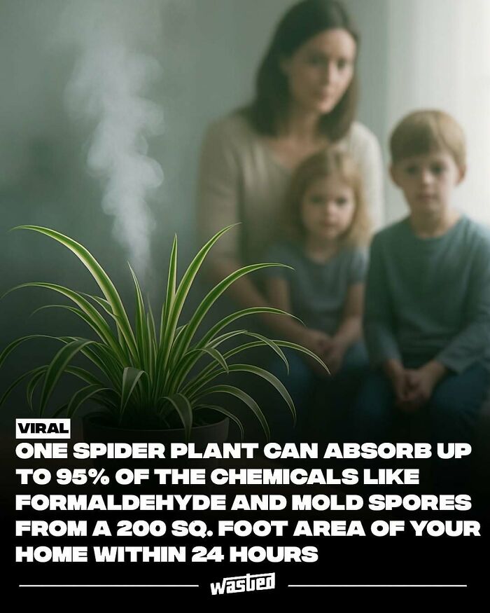 60 Wild Facts That'll Totally Crash Into Your Brain