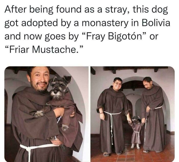 All Hail The Meme Of Da Holy Dog