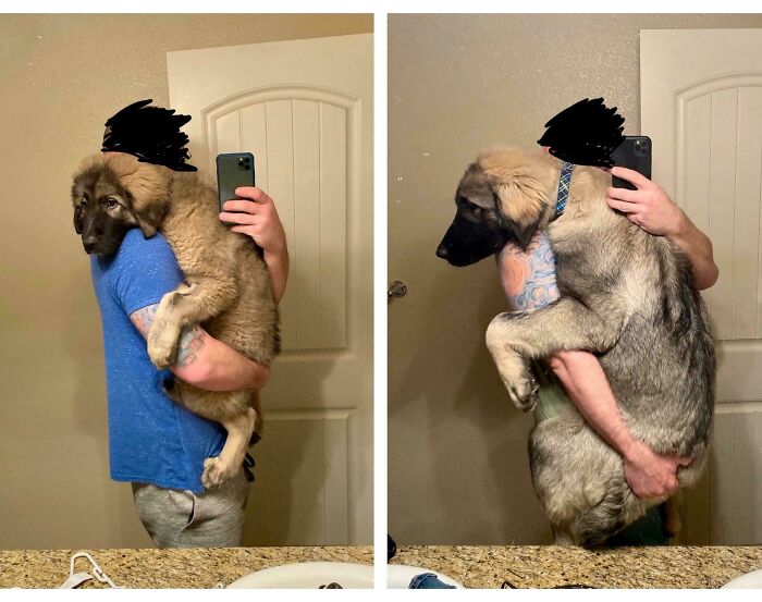 3 Months Old vs. 5 Months Old—Watch This Fluff Grow!