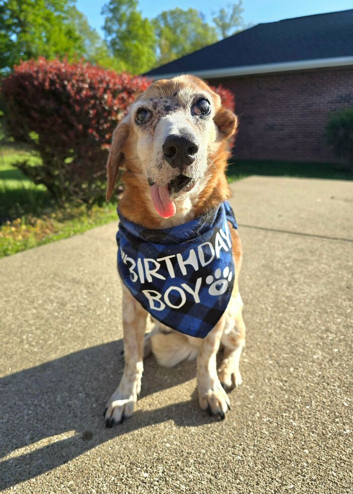Somebody Is A Very Happy, Drooly Birthday Boy—Happy 14th, Oogie!